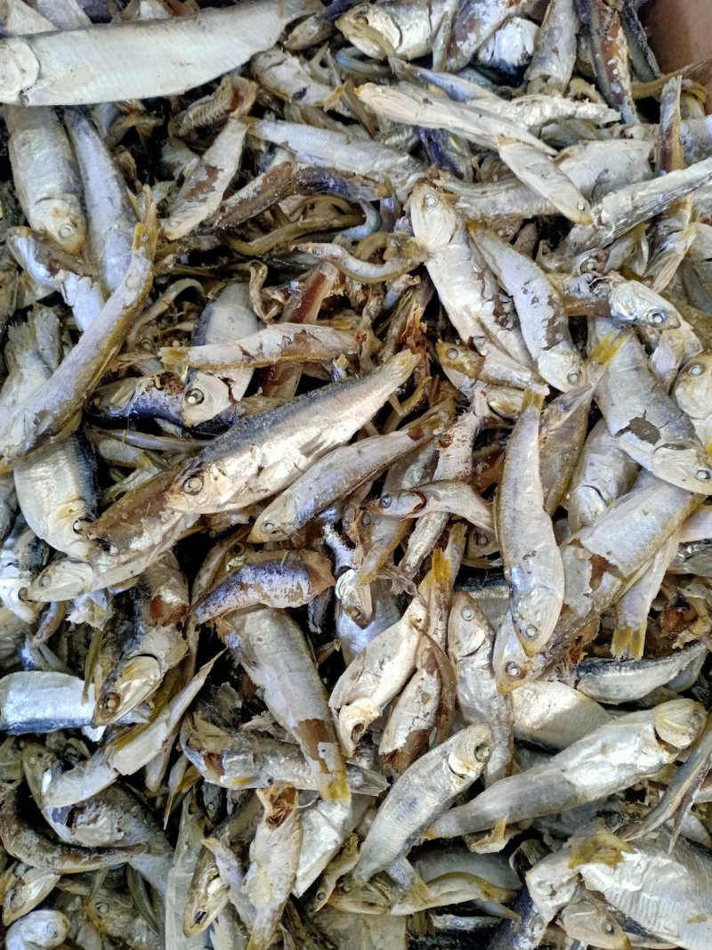 即食海鲫鱼