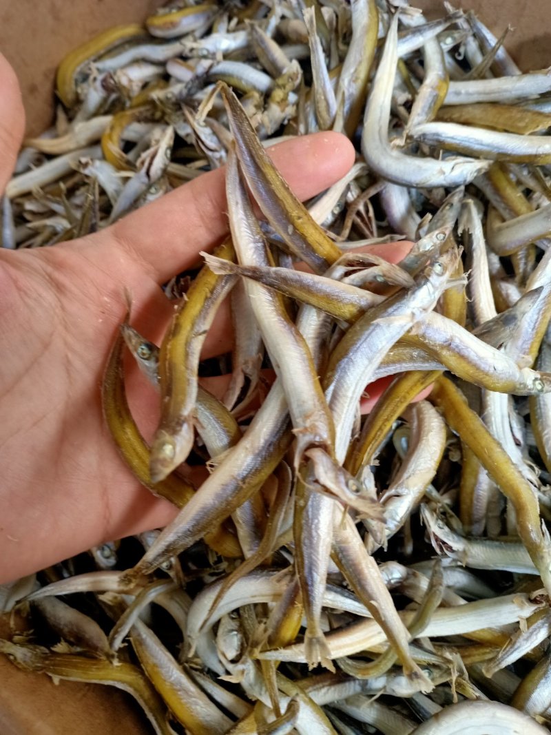 即食银针鱼
