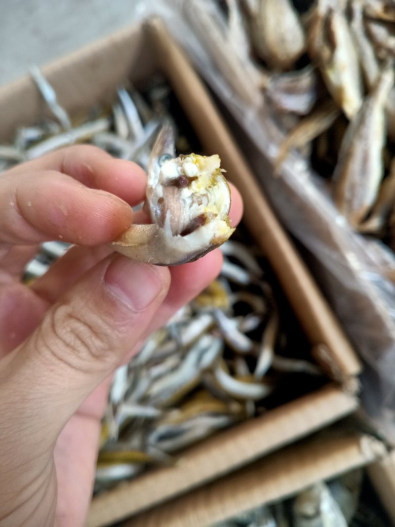 即食银针鱼
