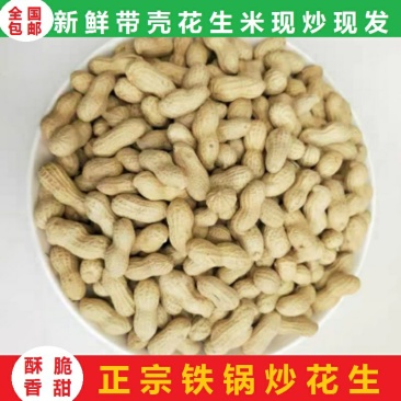 河南天府花生带壳花生米5斤一件铁锅炒花生小粒包邮一件代发