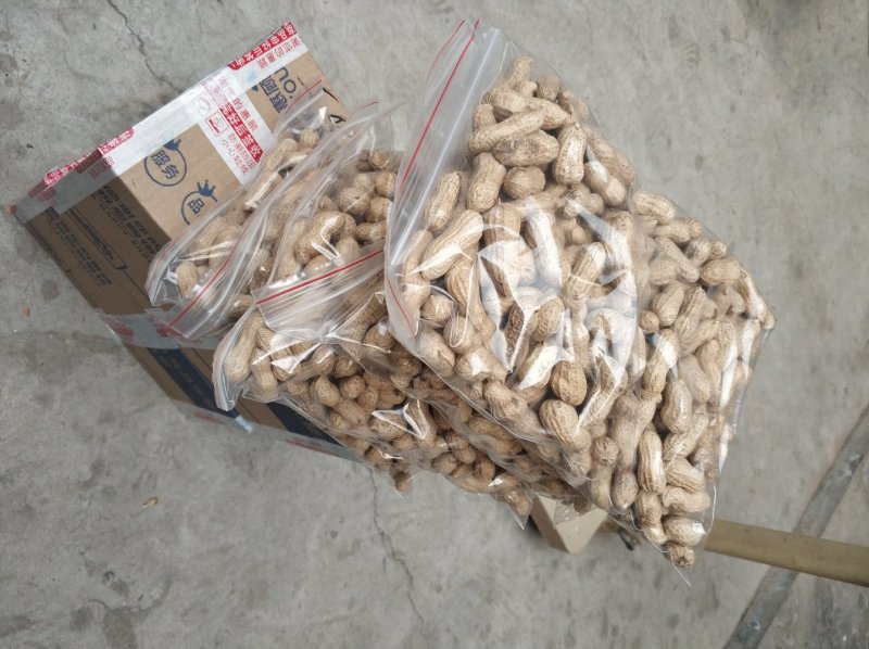 河南天府花生带壳花生米5斤一件铁锅炒花生小粒包邮一件代发