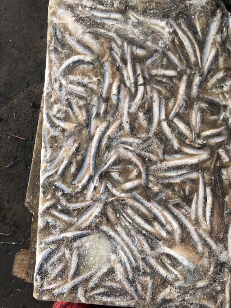 水产加工品带加工可以合作