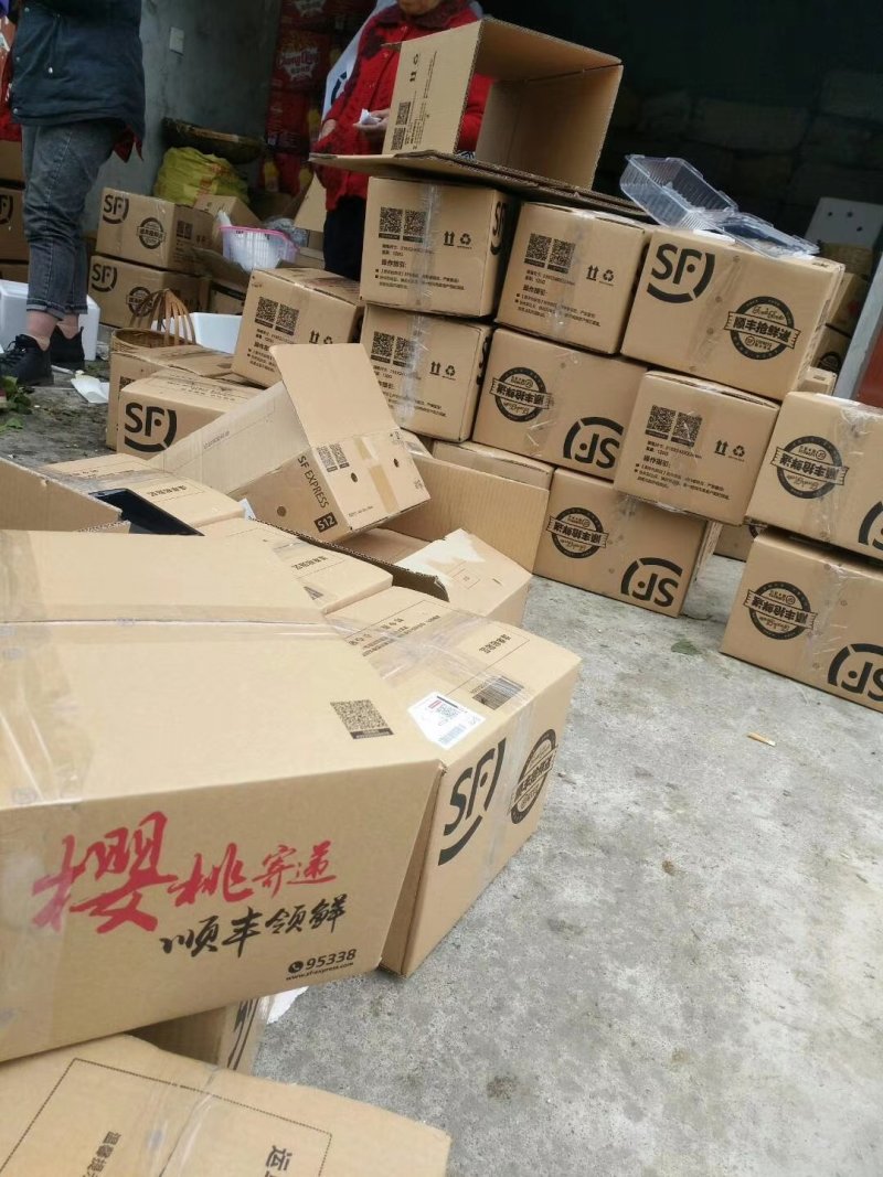 樱桃