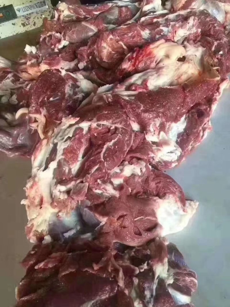羊脖肉，本店新到羔羊脖肉，烧烤小炒，穿串等适合各种用途