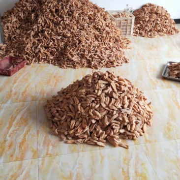 【天麻】产地直发质量上乘货源充足量大优惠欢迎