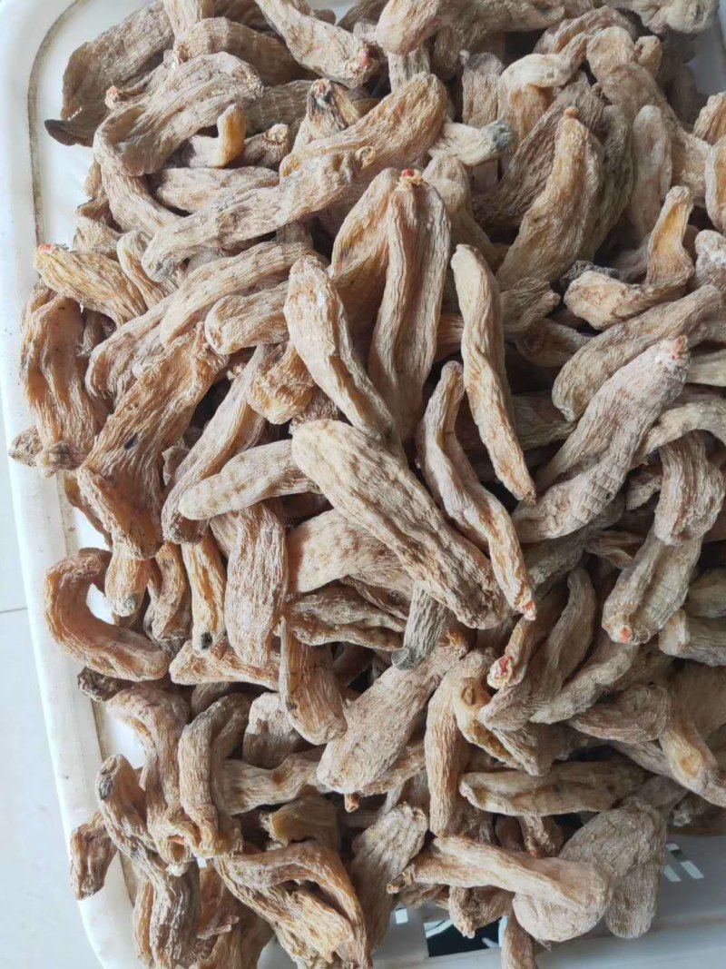 【天麻】产地直发质量上乘货源充足量大优惠欢迎