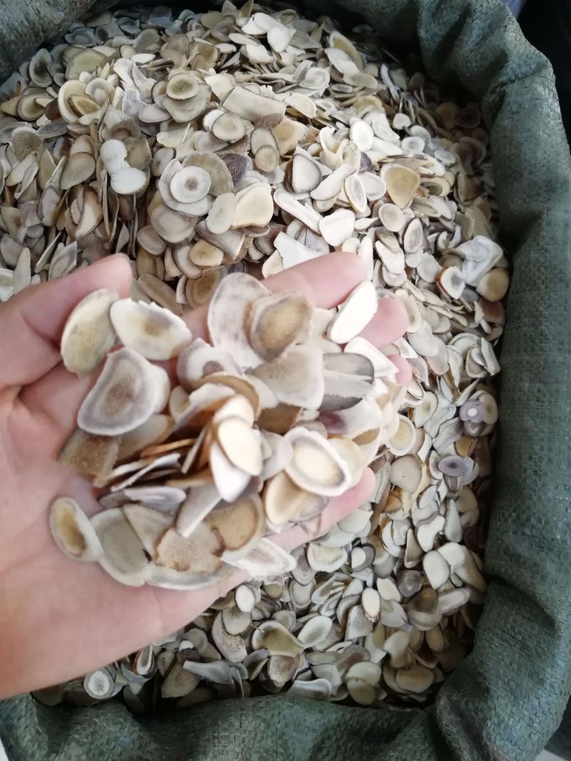 鹿角片东北鹿茸片无硫净货保正品批发零售各种中药材