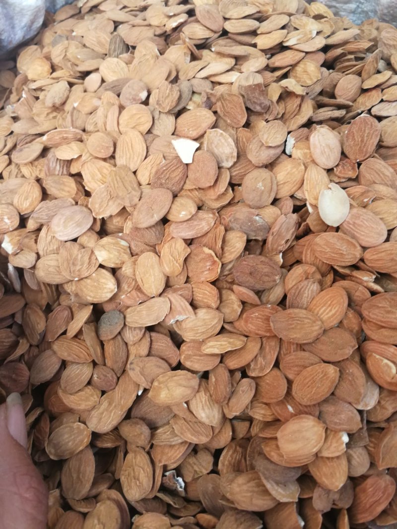 山桃仁家桃仁包邮不要运费