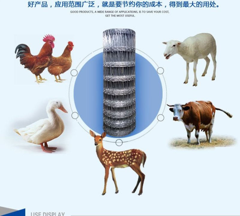 牛栏网圈羊网草原网养殖网防锈热镀锌钢丝网圈山果园防护围栏
