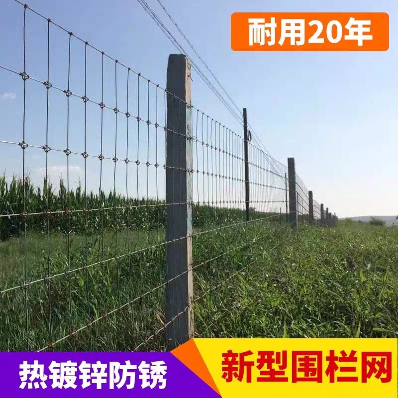 牛栏网圈羊网草原网养殖网防锈热镀锌钢丝网圈山果园防护围栏