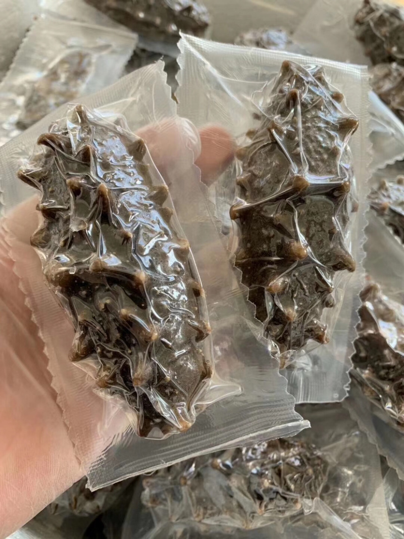 海参💠即食鲜蒸即食大连原产地