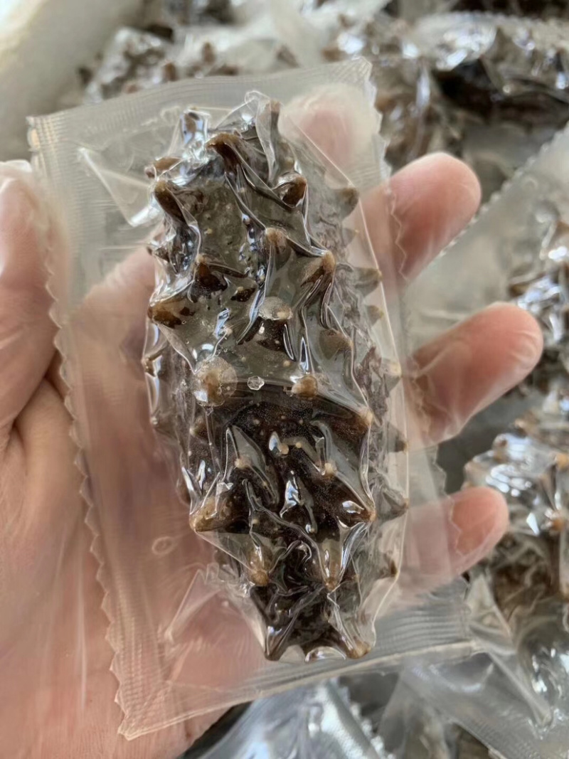海参💠即食鲜蒸即食大连原产地