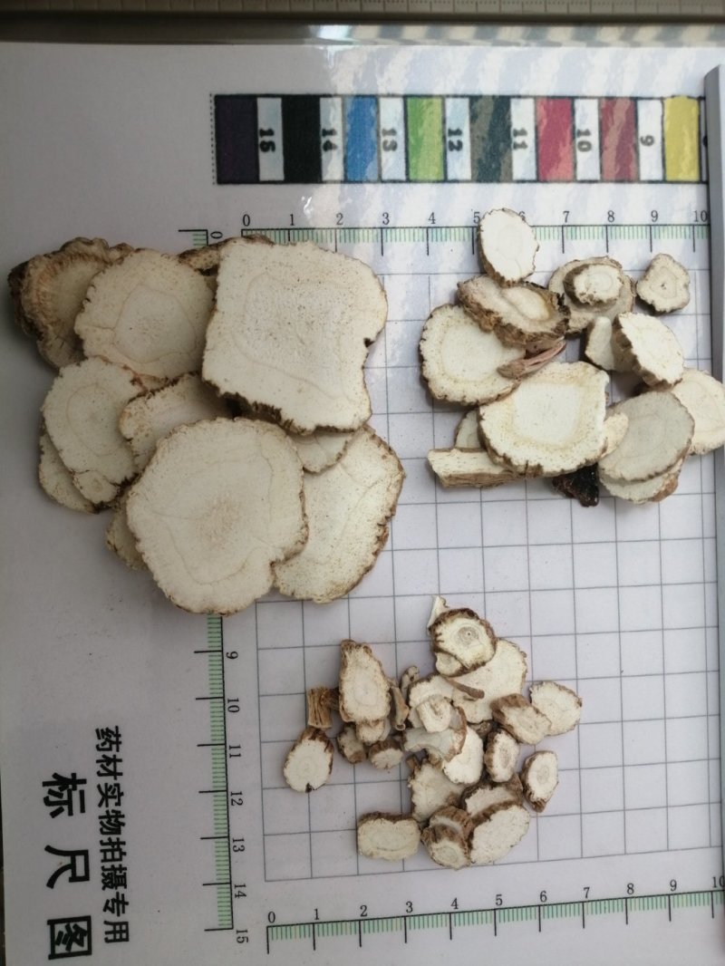 白芷圆片，过筛分级，色白干净卫生，芬香气味浓，药食两用