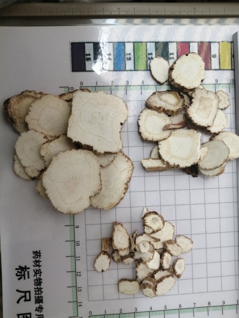 白芷圆片，过筛分级，色白干净卫生，芬香气味浓，药食两用