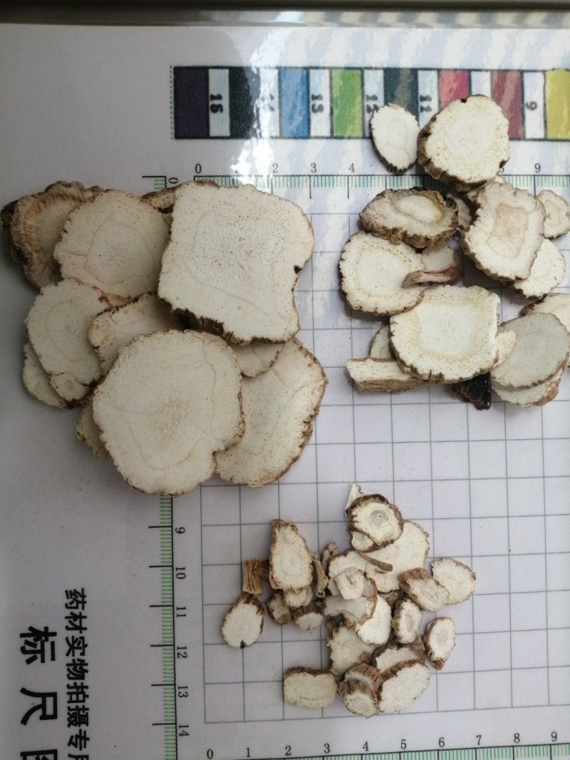 白芷圆片，过筛分级，色白干净卫生，芬香气味浓，药食两用