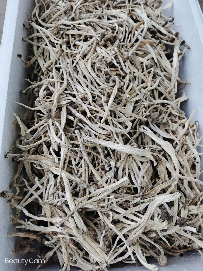 蟹味菇（干品）
