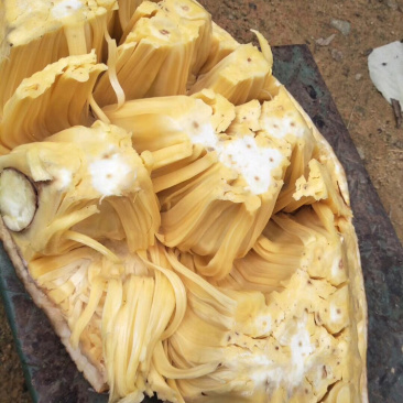 广东产地，果园直供，干包菠萝蜜