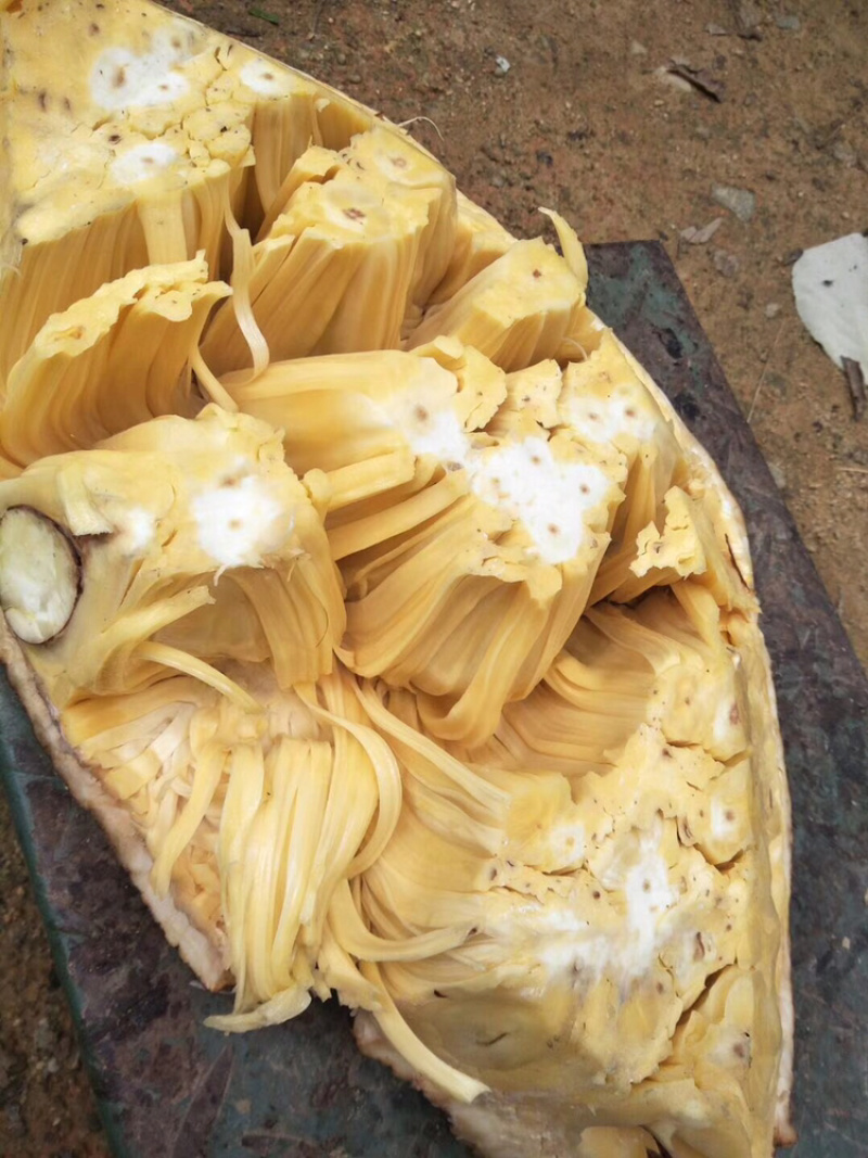 广东产地，果园直供，干包菠萝蜜