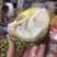 台湾嫁接凤梨释迦番荔枝蜜佛头果佛陀果树苗木苗地栽盆栽