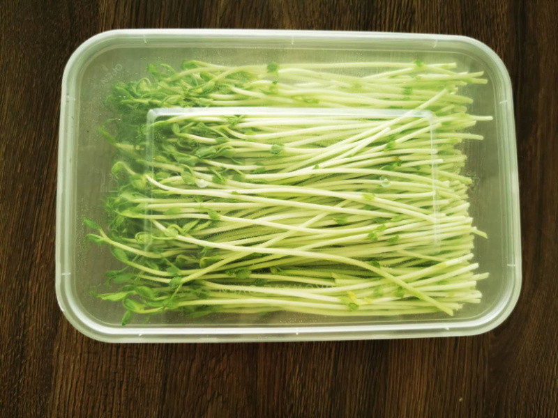 豌豆苗豌豆尖新鲜芽苗菜