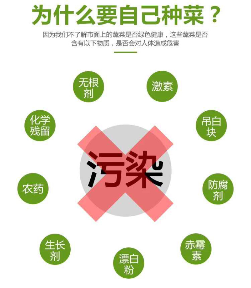 芽苗菜种植盘