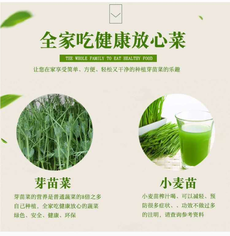 芽苗菜种植盘