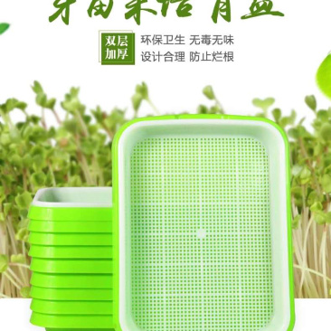 芽苗菜种植盘