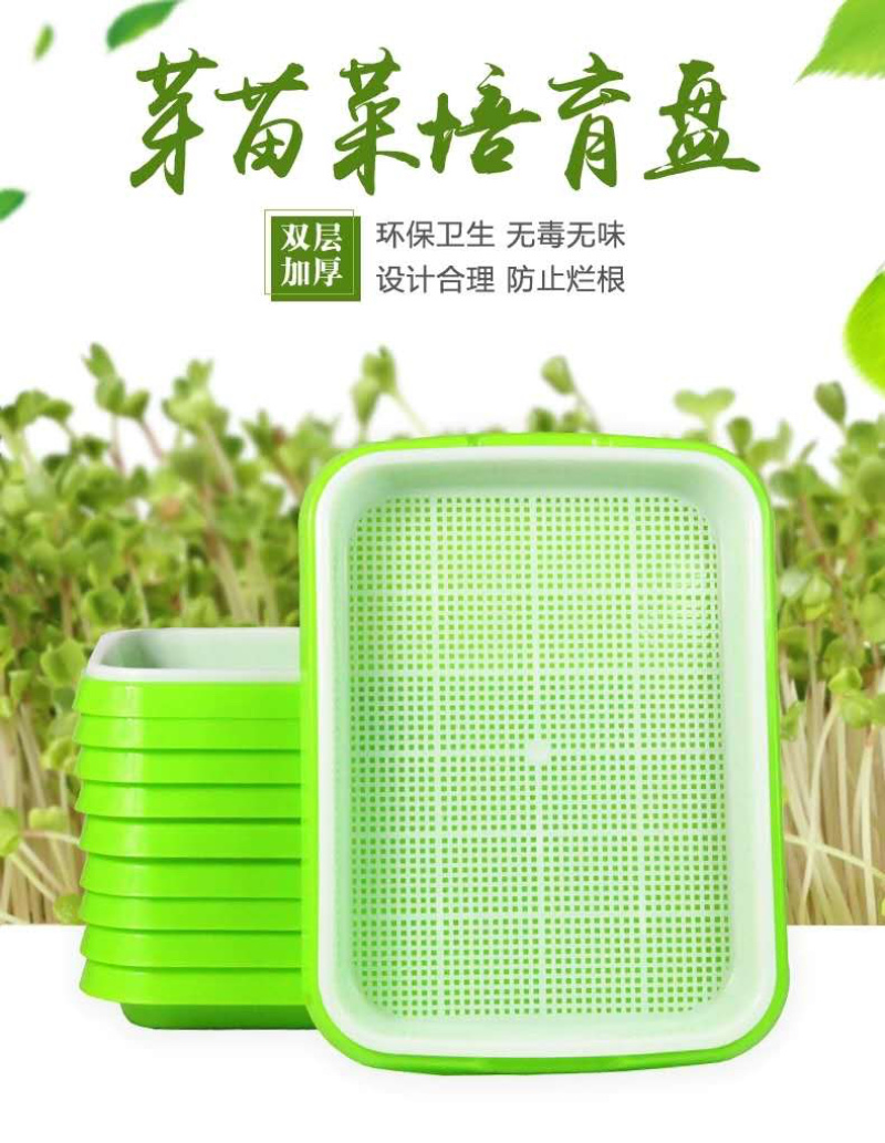 芽苗菜种植盘