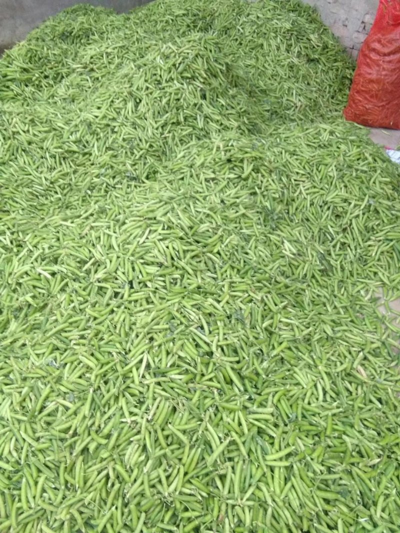 豌豆荚鲜货，电商货、市场货，支持各种包装，可视频看货