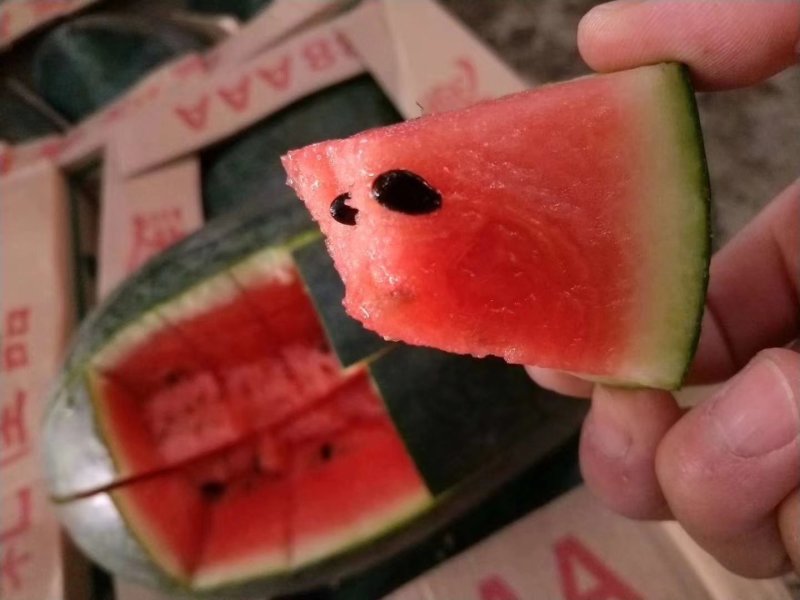 大量现货，各种品种西瓜齐全，质量保障，物流方便