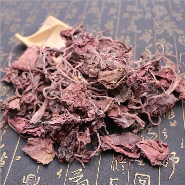 药用大红袍,红天葵,产地直供道地药材,药典标准支持线上交