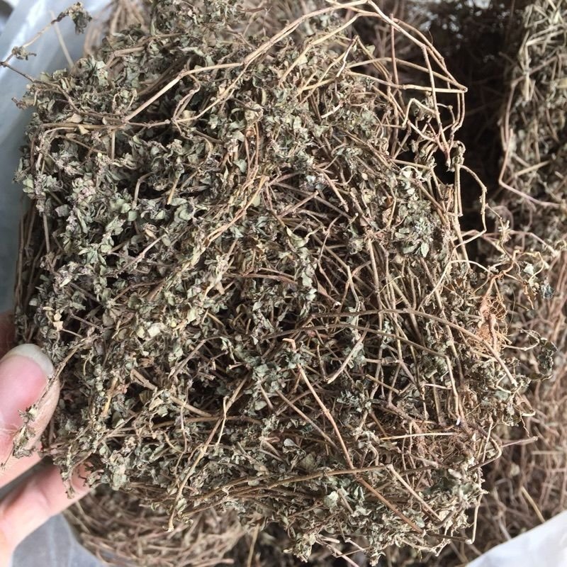 飞扬草，小飞扬草产地直供，道地药材，药典标准支持线上交易