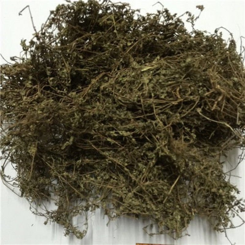 飞扬草，小飞扬草产地直供，道地药材，药典标准支持线上交易