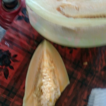 翠梨西周蜜系倒甜瓜