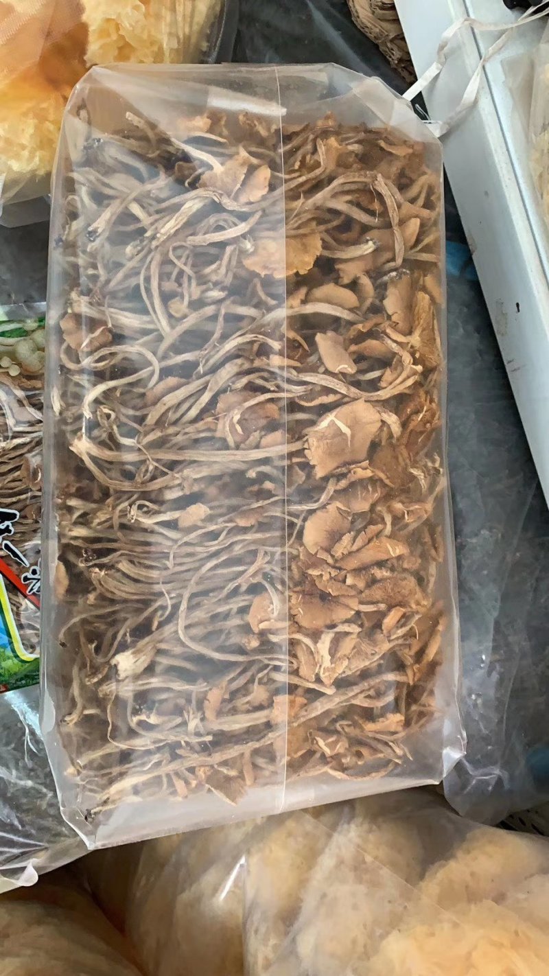 茶树菇，营养丰富，是地道的山珍佳品。