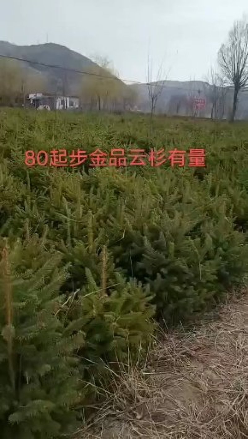 出售