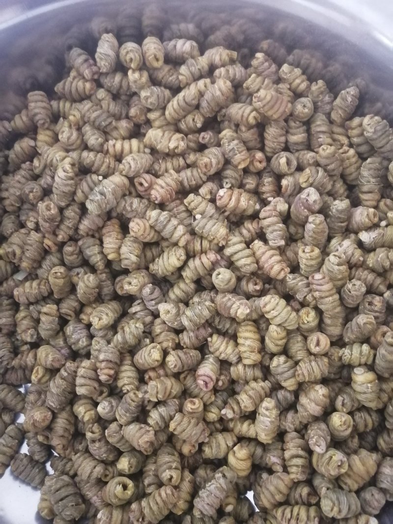 金福堂铁皮石斛枫斗新货品质量，肉质饱满，一手货源批发