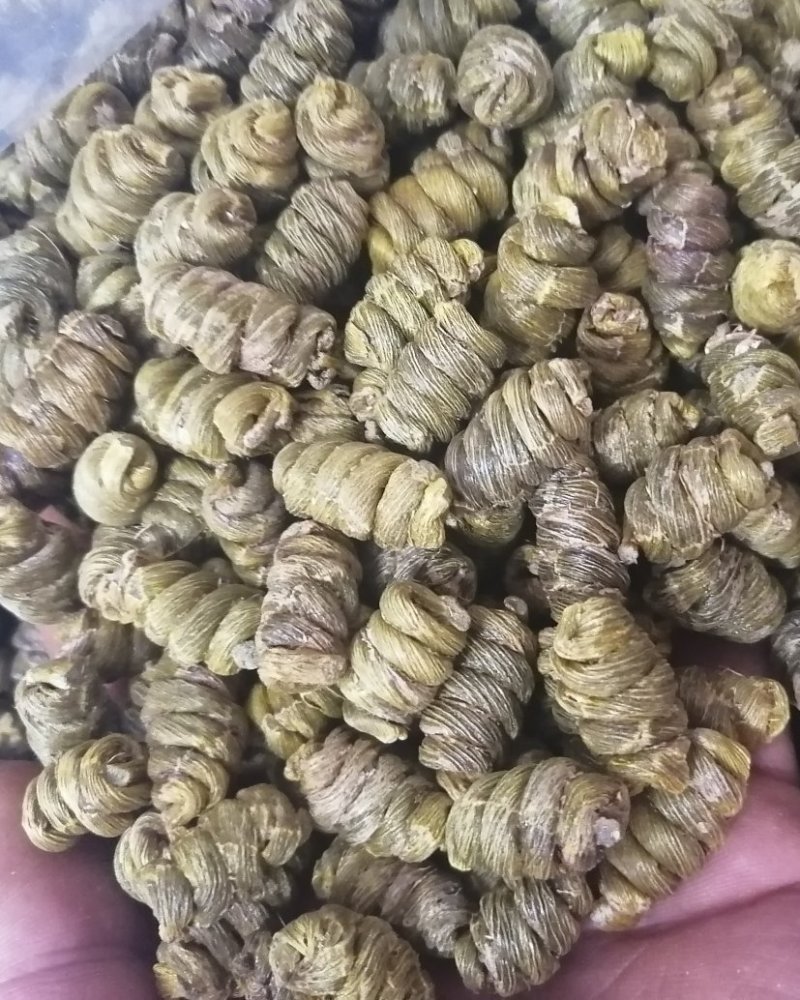 金福堂铁皮石斛枫斗新货品质量，肉质饱满，一手货源批发