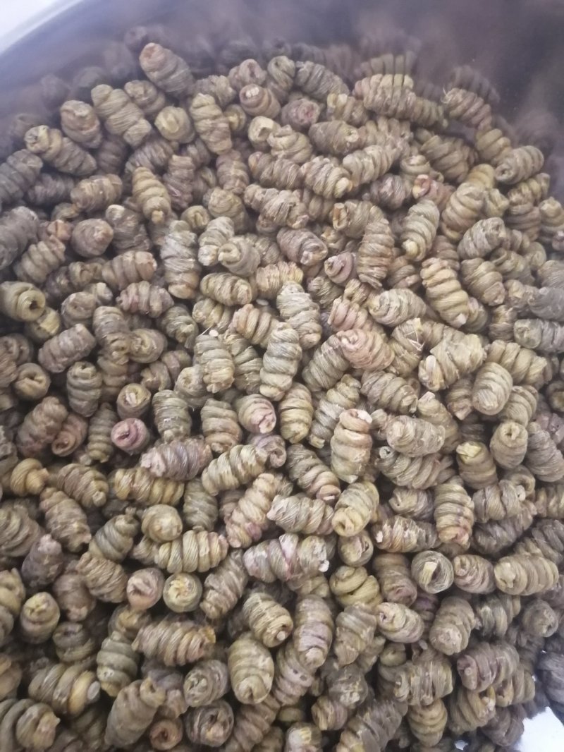 金福堂铁皮石斛枫斗新货品质量，肉质饱满，一手货源批发