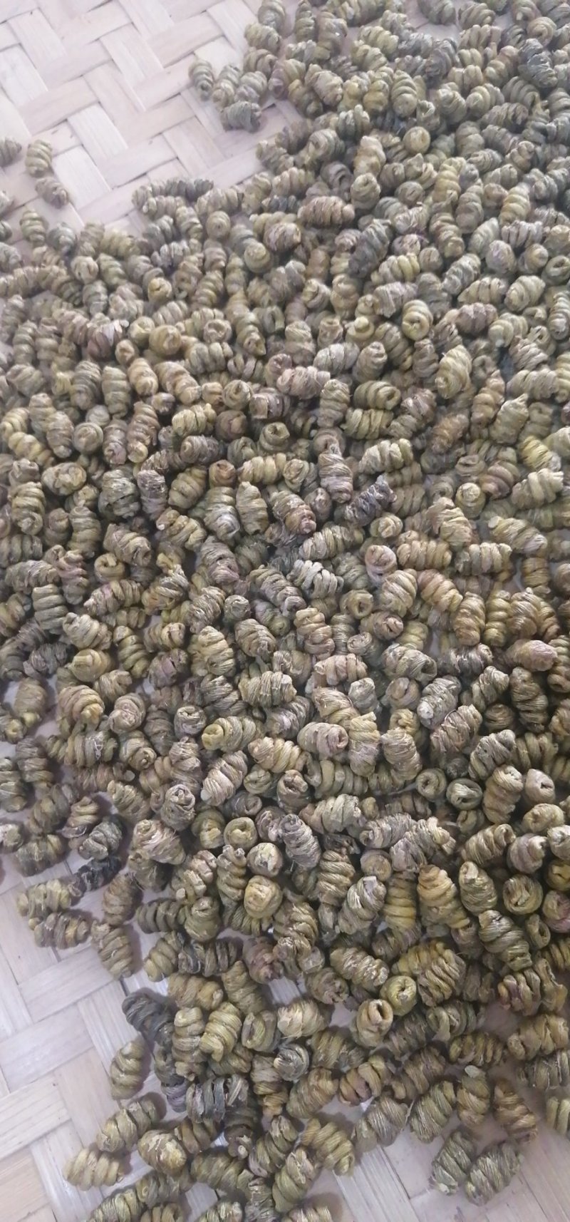 金福堂铁皮石斛枫斗新货品质量，肉质饱满，一手货源批发