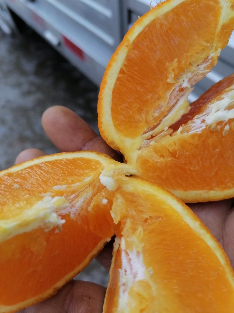 【推荐】精品奉节脐橙基地直供全国代发欢迎来电咨询