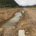 曲靖马龙150亩水田出租，适合做蔬菜基地