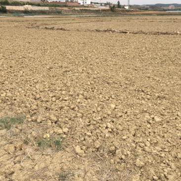 曲靖马龙150亩水田出租，适合做蔬菜基地
