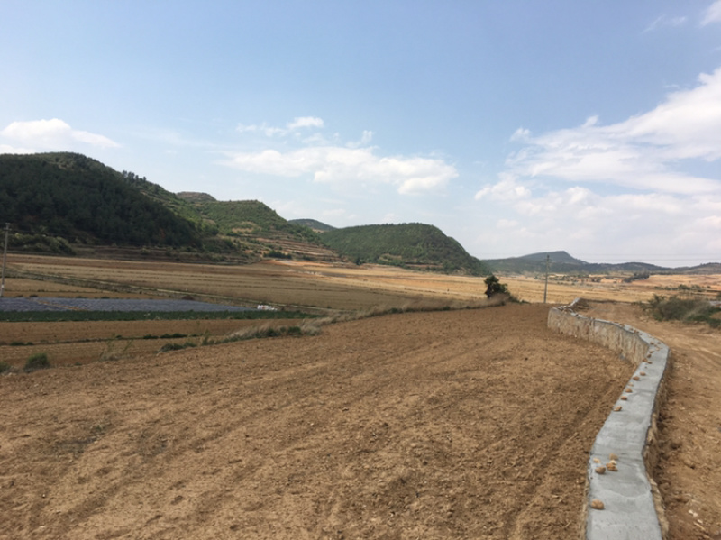 曲靖马龙150亩水田出租，适合做蔬菜基地