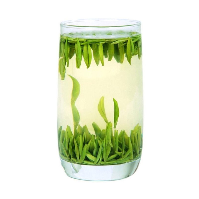 茶苗茶树茶油苗树苗油茶苗