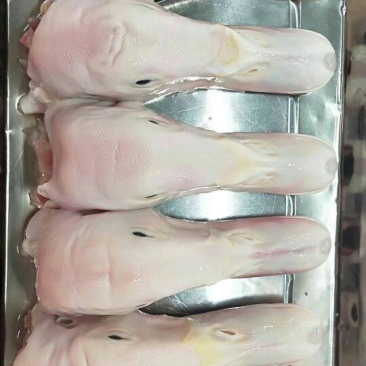 六和鸭头大鸭头（六和产品值得信赖，骗子勿扰）