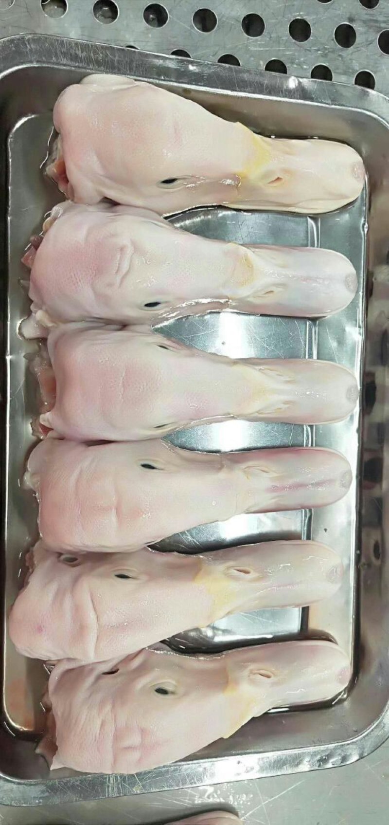 六和鸭头大鸭头（六和产品值得信赖，骗子勿扰）