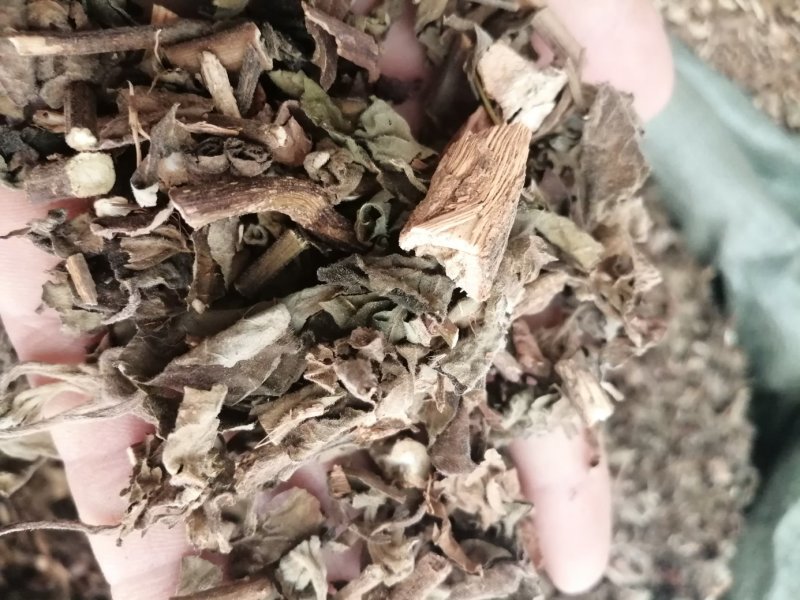 广藿香，广东产地直销新货，各种规格出售，大量现货供应！