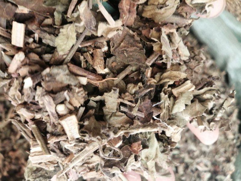 广藿香，广东产地直销新货，各种规格出售，大量现货供应！