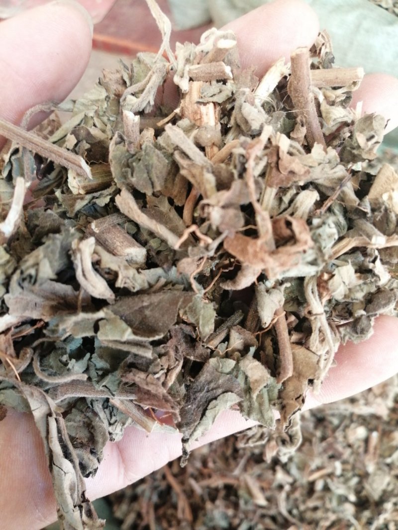 广藿香，广东产地直销新货，各种规格出售，大量现货供应！